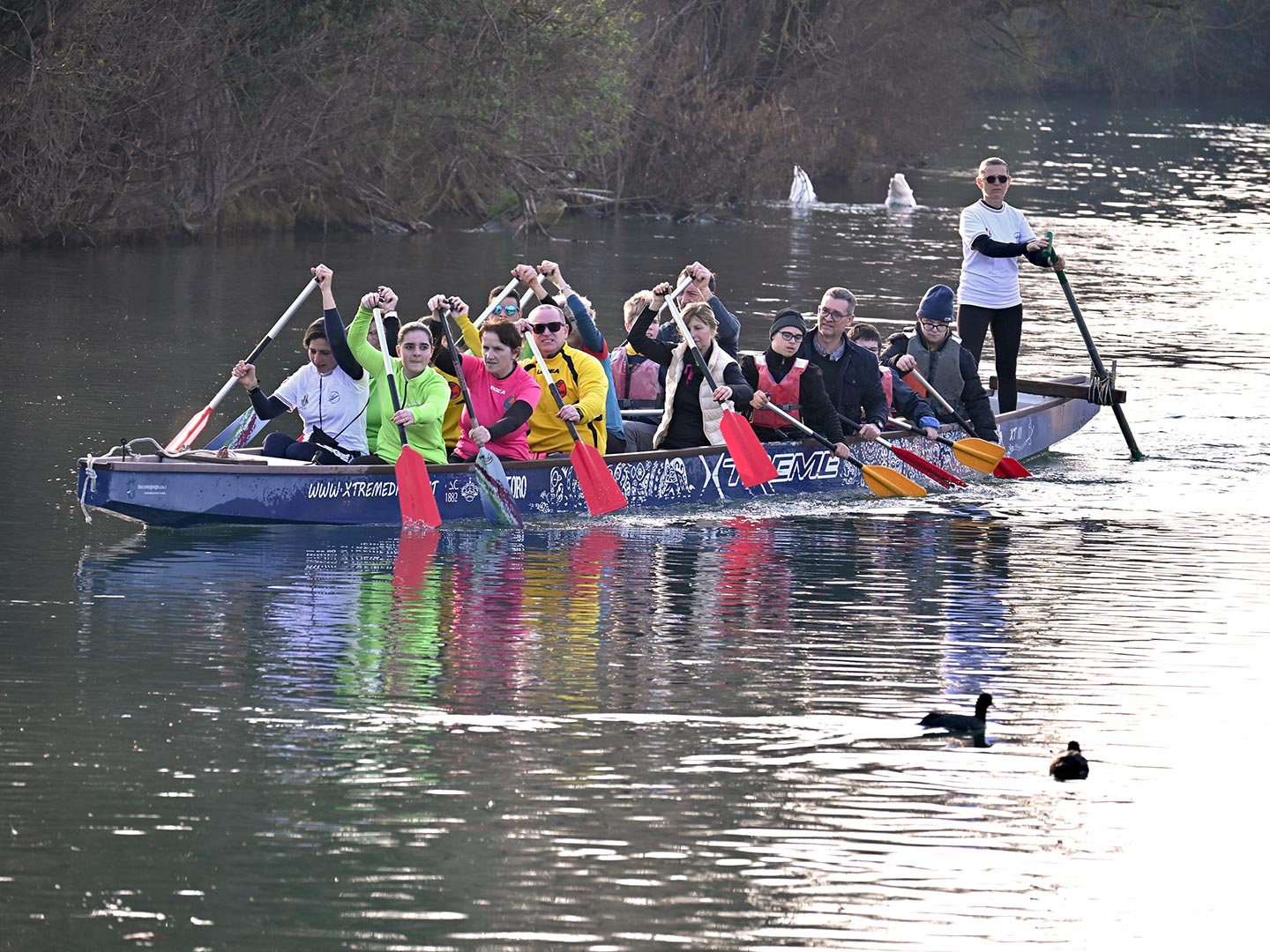 Canoa Club Sile - Noleggio imbarcazioni - Dragonboat a Treviso